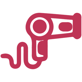 PROMAX HAIR DRYER