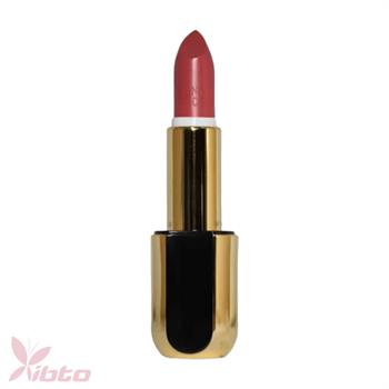 رژ لب جامد براق شماره S253 مدل Satin Pro فان فیس Fun Face