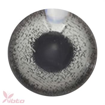 لنز آی ریو شماره LENZ EYEREVE 01