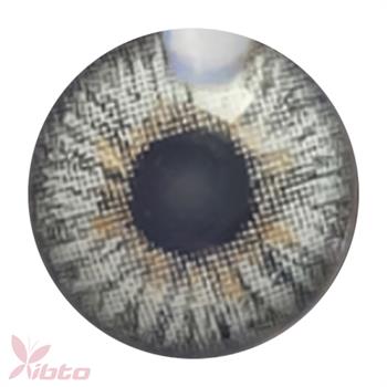 لنز آی ریو شماره LENZ EYEREVE 02