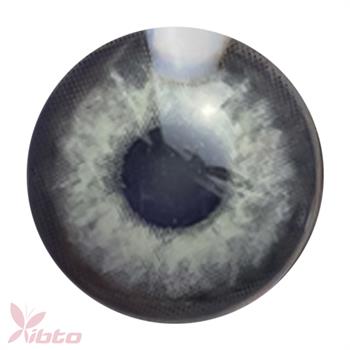 لنز آی ریو شماره LENZ EYEREVE 04