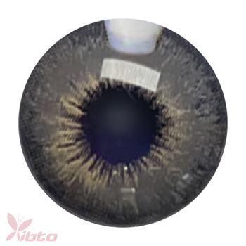 لنز آی ریو شماره LENZ EYEREVE 06