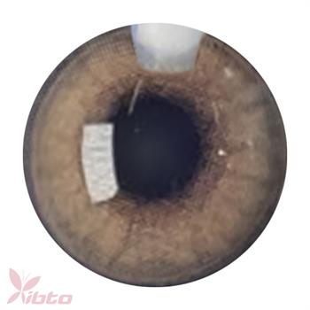 لنز آی ریو شماره LENZ EYEREVE 09