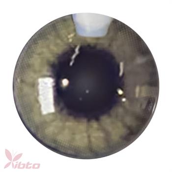 لنز آی ریو شماره LENZ EYEREVE 10