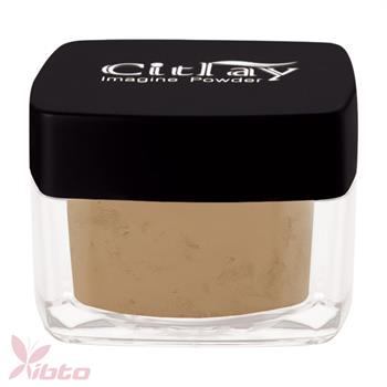 پودر فیکس سیترای شماره CITRAY 404